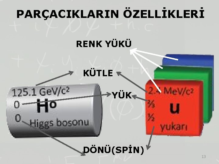 PARÇACIKLARIN ÖZELLİKLERİ RENK YÜKÜ KÜTLE YÜK DÖNÜ(SPİN) 13 