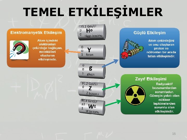 TEMEL ETKİLEŞİMLER 16 