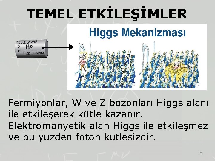 TEMEL ETKİLEŞİMLER Fermiyonlar, W ve Z bozonları Higgs alanı ile etkileşerek kütle kazanır. Elektromanyetik