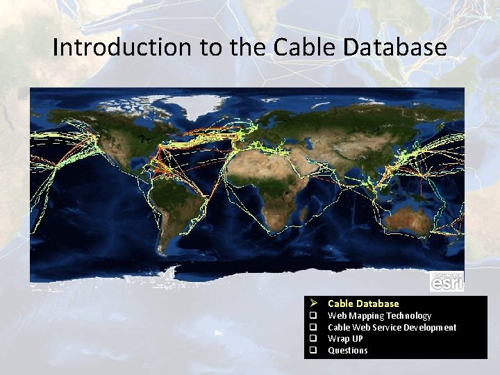 Introduction to the Cable Database Ø Cable Database q q Web Mapping Technology Cable