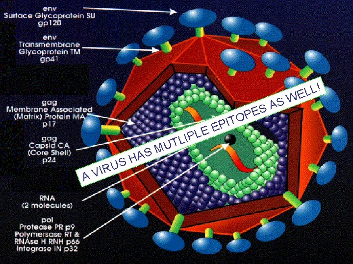 S A PES A IR V A H S U U M S LE
