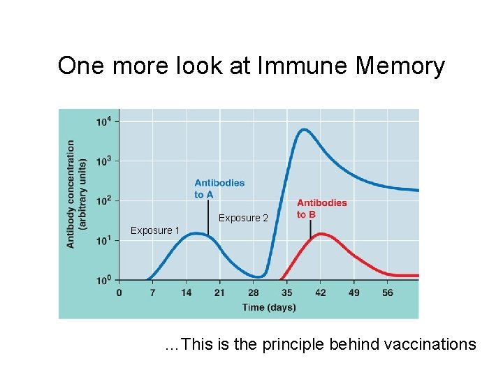 One more look at Immune Memory Exposure 2 Exposure 1 …This is the principle