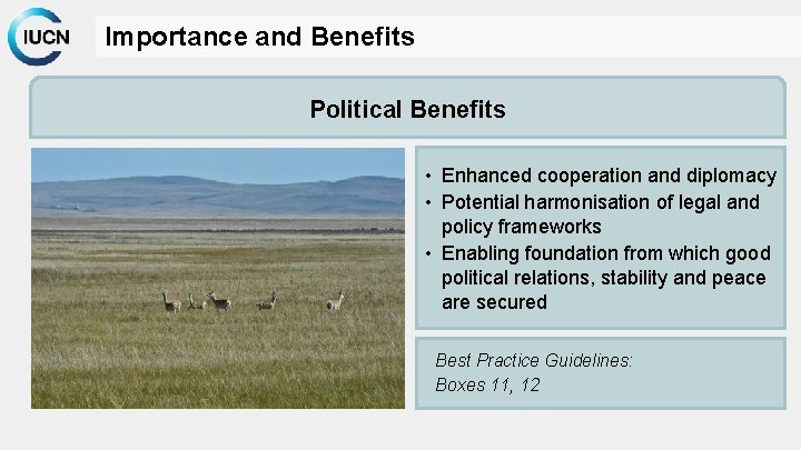 Importance and Benefits Political Benefits • Enhanced cooperation and diplomacy • Potential harmonisation of