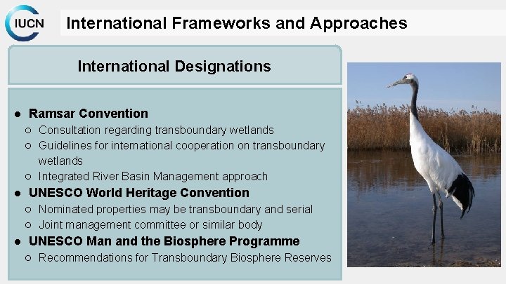 International Frameworks and Approaches International Designations ● Ramsar Convention ○ Consultation regarding transboundary wetlands