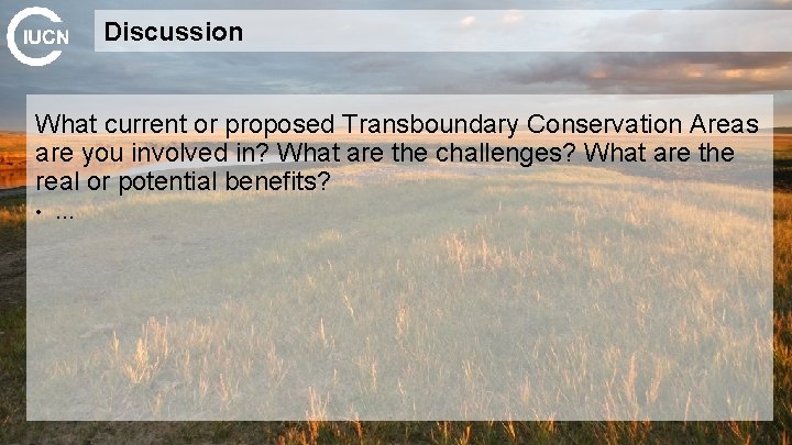 Discussion What current or proposed Transboundary Conservation Areas are you involved in? What are
