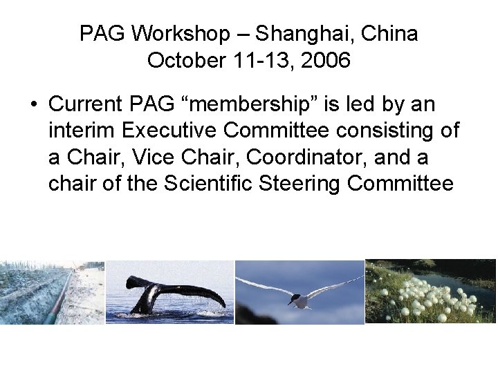 PAG Workshop – Shanghai, China October 11 -13, 2006 • Current PAG “membership” is