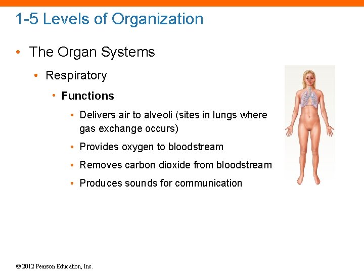 1 -5 Levels of Organization • The Organ Systems • Respiratory • Functions •