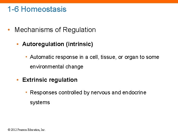 1 -6 Homeostasis • Mechanisms of Regulation • Autoregulation (intrinsic) • Automatic response in