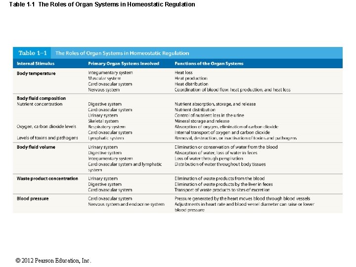 Table 1 -1 The Roles of Organ Systems in Homeostatic Regulation © 2012 Pearson