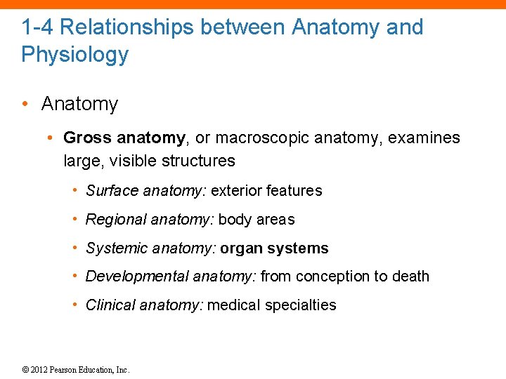 1 -4 Relationships between Anatomy and Physiology • Anatomy • Gross anatomy, or macroscopic
