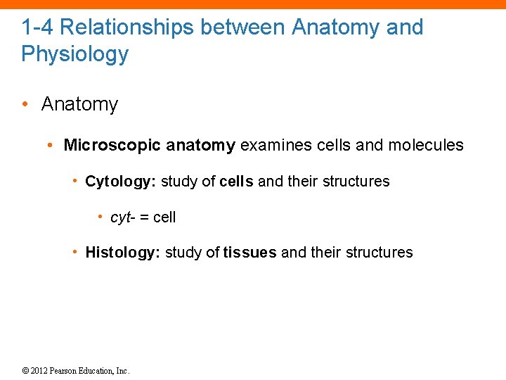 1 -4 Relationships between Anatomy and Physiology • Anatomy • Microscopic anatomy examines cells