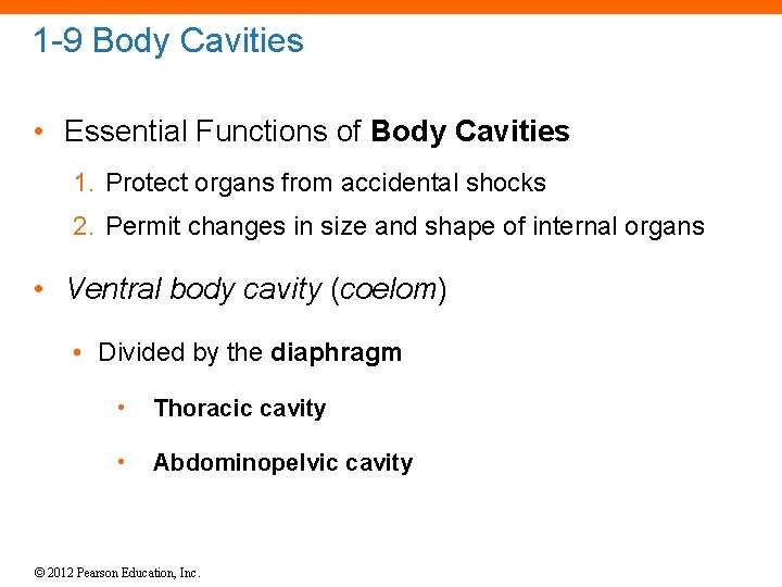 1 -9 Body Cavities • Essential Functions of Body Cavities 1. Protect organs from