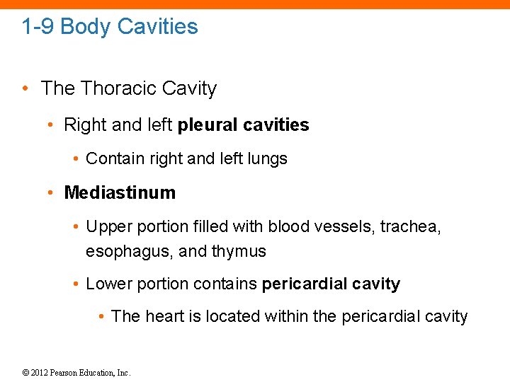 1 -9 Body Cavities • The Thoracic Cavity • Right and left pleural cavities