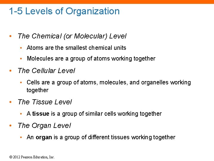 1 -5 Levels of Organization • The Chemical (or Molecular) Level • Atoms are
