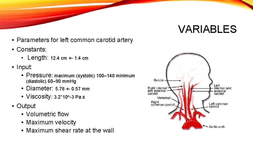 VARIABLES • Parameters for left common carotid artery • Constants: • Length: 12. 4