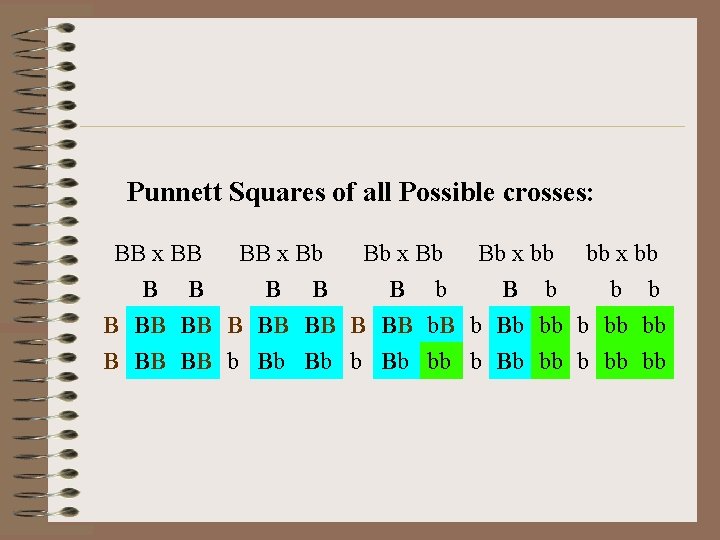 Punnett Squares of all Possible crosses: BB x BB BB x Bb Bb x