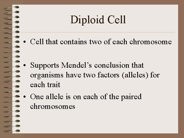 Diploid Cell • Cell that contains two of each chromosome • Supports Mendel’s conclusion