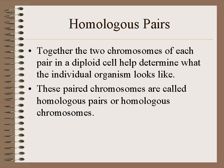 Homologous Pairs • Together the two chromosomes of each pair in a diploid cell