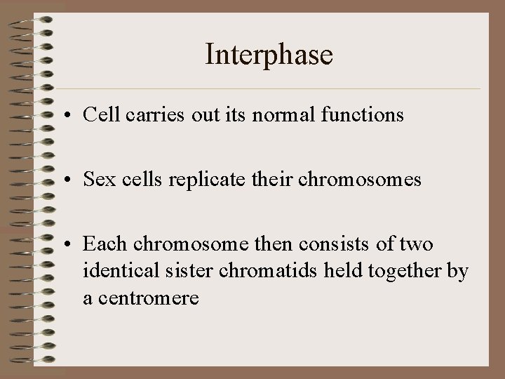 Interphase • Cell carries out its normal functions • Sex cells replicate their chromosomes