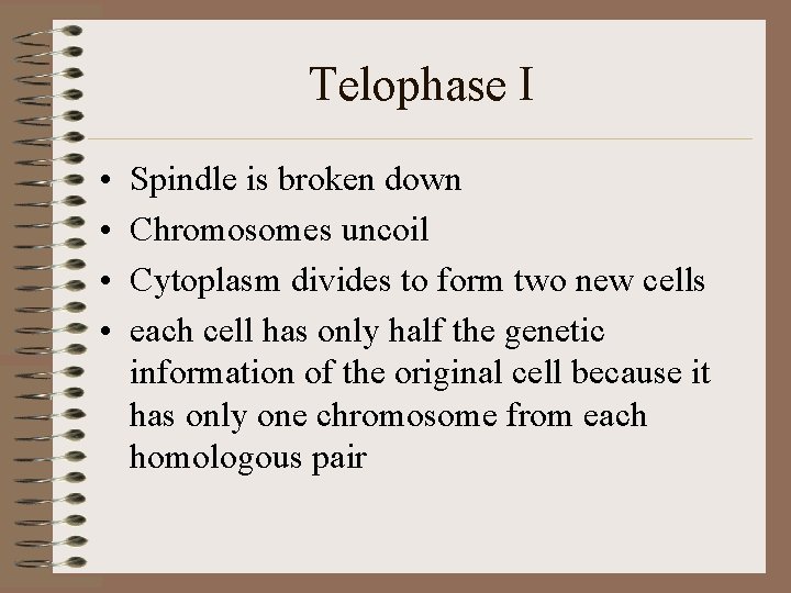 Telophase I • • Spindle is broken down Chromosomes uncoil Cytoplasm divides to form