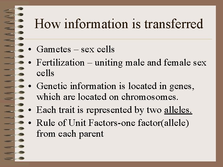 How information is transferred • Gametes – sex cells • Fertilization – uniting male