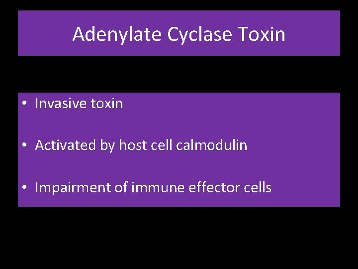 Adenylate Cyclase Toxin • Invasive toxin • Activated by host cell calmodulin • Impairment