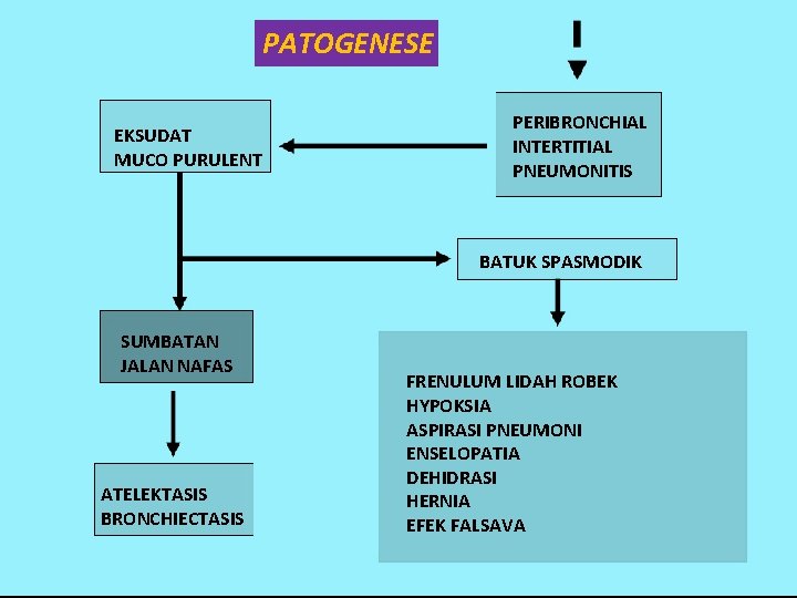 PATOGENESE EKSUDAT MUCO PURULENT PERIBRONCHIAL INTERTITIAL PNEUMONITIS BATUK SPASMODIK SUMBATAN JALAN NAFAS ATELEKTASIS BRONCHIECTASIS