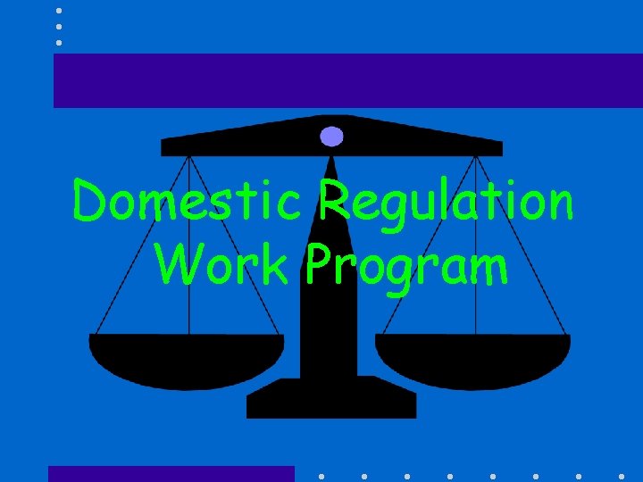 Domestic Regulation Work Program 