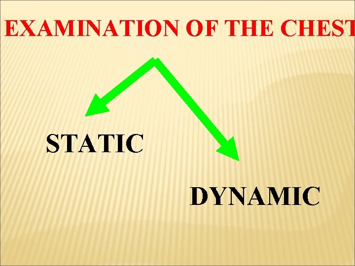 EXAMINATION OF THE CHEST STATIC DYNAMIC 