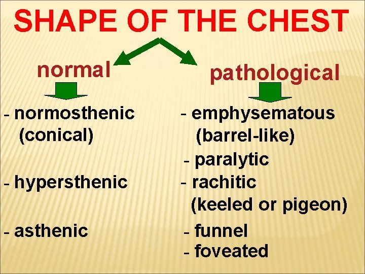 SHAPE OF THE CHEST normal - normosthenic (conical) - hypersthenic - asthenic pathological -