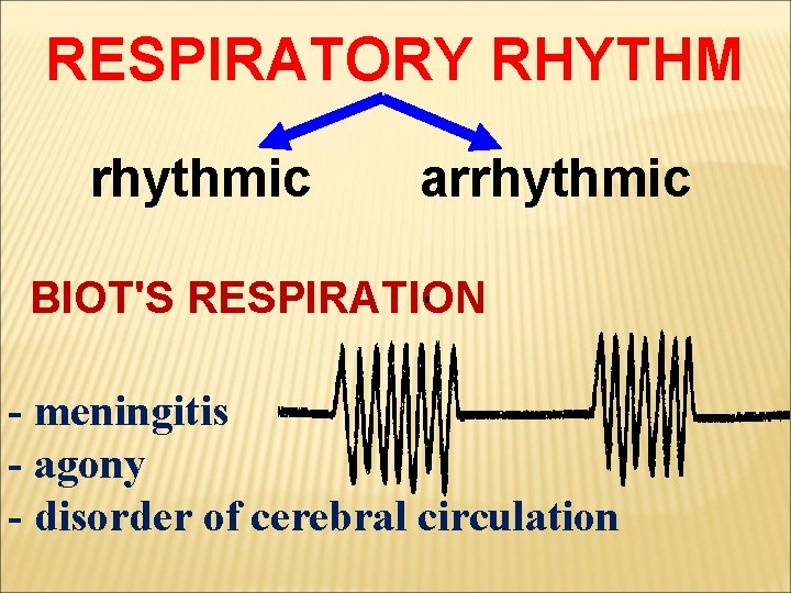 RESPIRATORY RHYTHM rhythmic arrhythmic BIOT'S RESPIRATION - meningitis - agony - disorder of cerebral