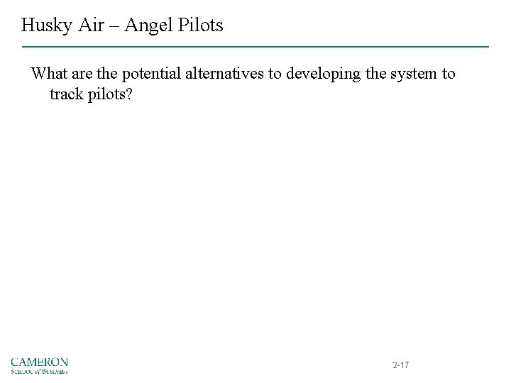 Husky Air – Angel Pilots What are the potential alternatives to developing the system