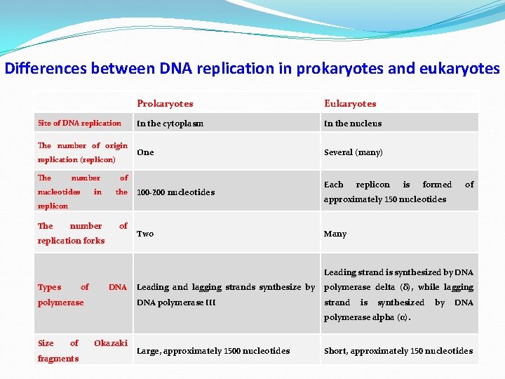 Differences between DNA replication in prokaryotes and eukaryotes Site of DNA replication The number