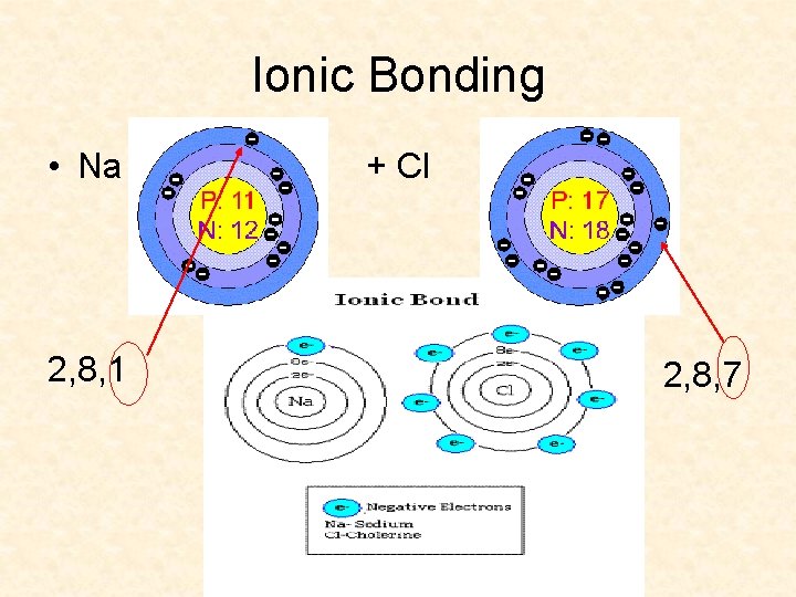 Ionic Bonding • Na 2, 8, 1 + Cl 2, 8, 7 