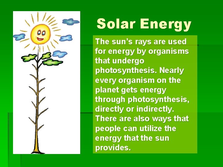 Solar Energy The sun’s rays are used for energy by organisms that undergo photosynthesis.