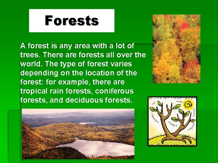 Forests A forest is any area with a lot of trees. There are forests