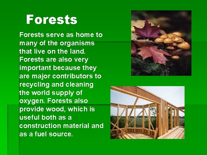 Forests serve as home to many of the organisms that live on the land.