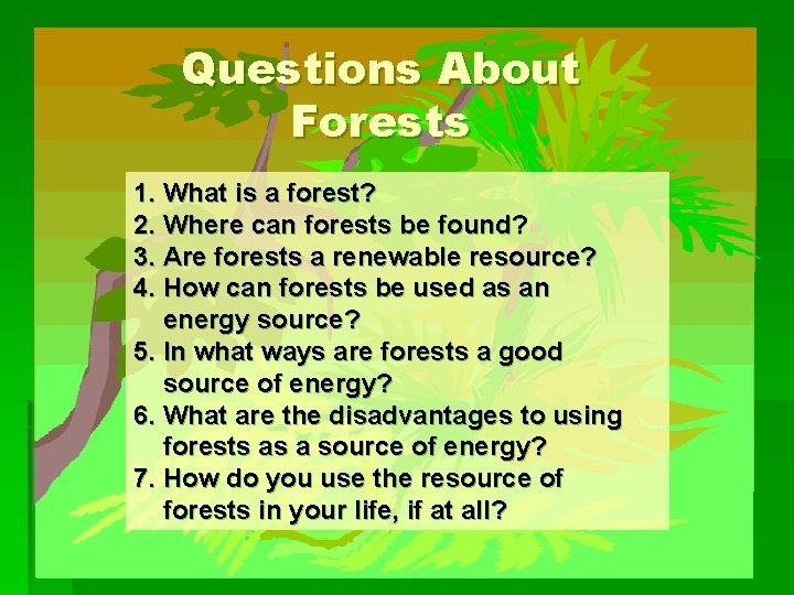 Questions About Forests 1. What is a forest? 2. Where can forests be found?