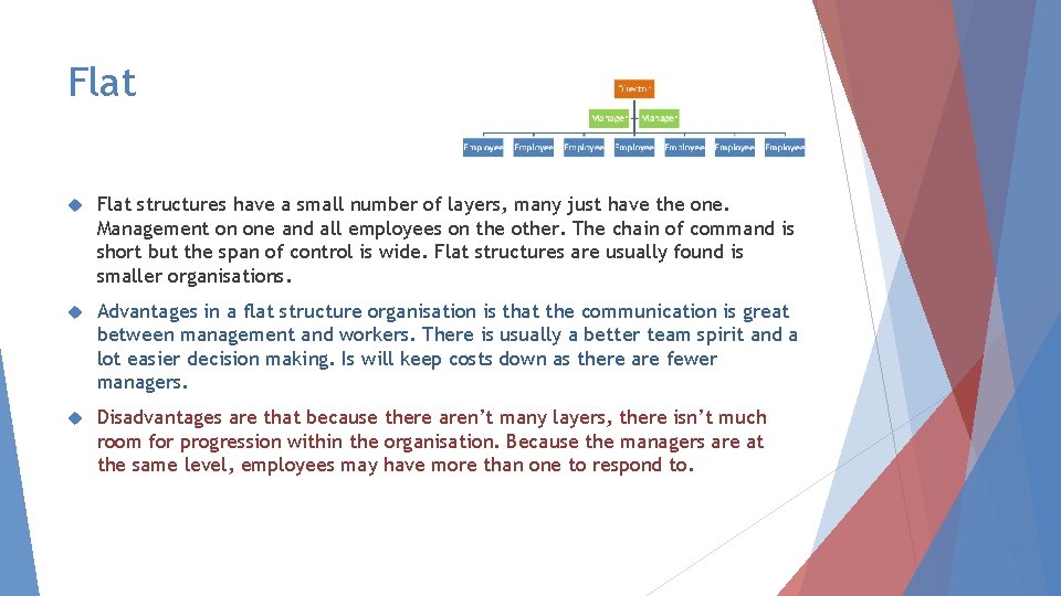 Flat structures have a small number of layers, many just have the one. Management