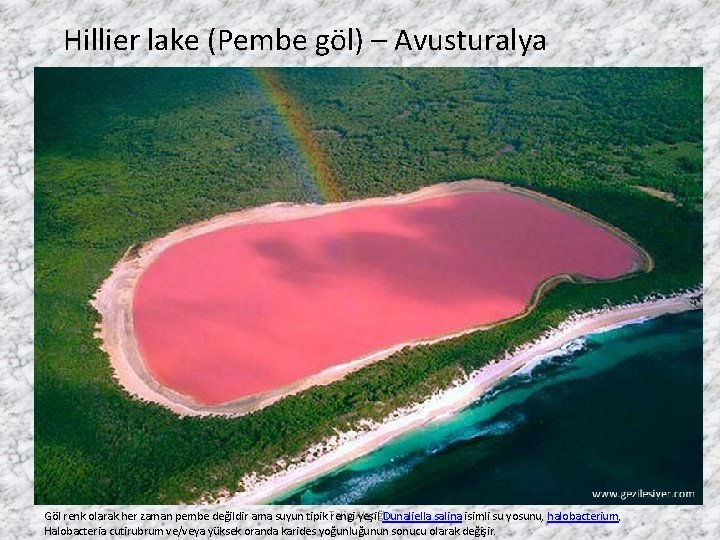 Hillier lake (Pembe göl) – Avusturalya Göl renk olarak her zaman pembe değildir ama