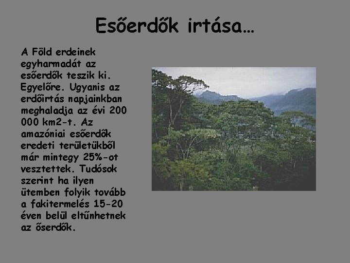 Esőerdők irtása… A Föld erdeinek egyharmadát az esőerdők teszik ki. Egyelőre. Ugyanis az erdőirtás Esőerdők irtása… A Föld erdeinek egyharmadát az esőerdők teszik ki. Egyelőre. Ugyanis az erdőirtás