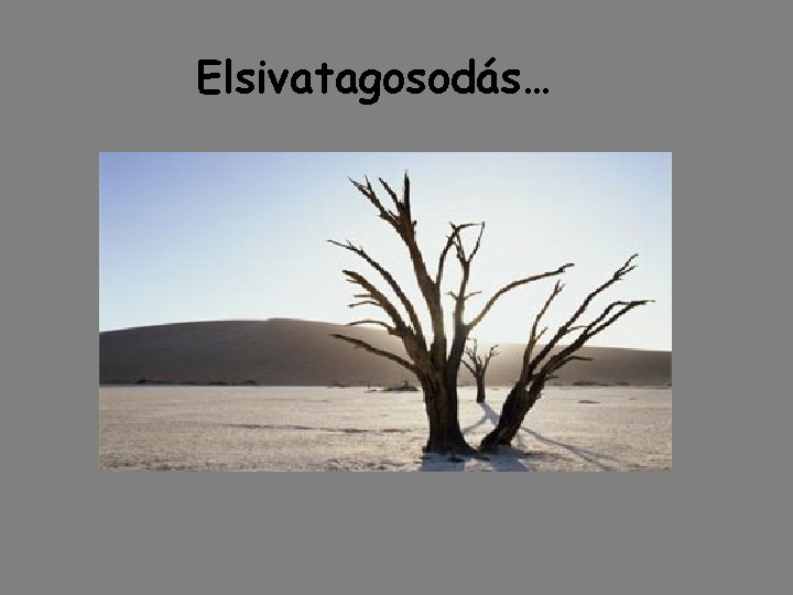 Elsivatagosodás… Elsivatagosodás…