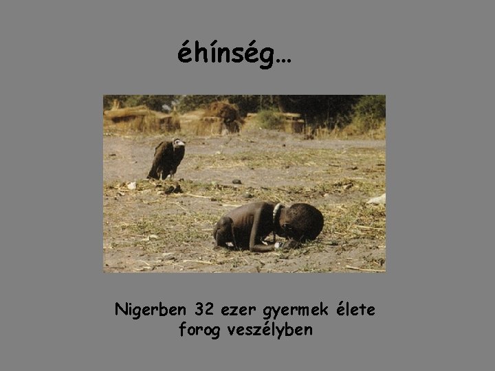 éhínség… Nigerben 32 ezer gyermek élete forog veszélyben éhínség… Nigerben 32 ezer gyermek élete forog veszélyben