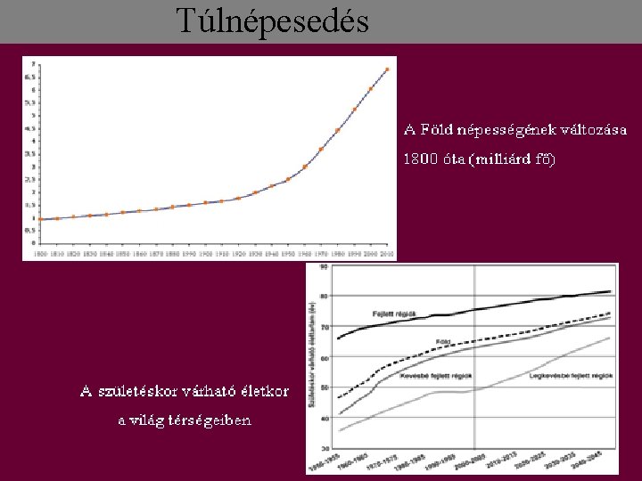 Túlnépesedés Túlnépesedés