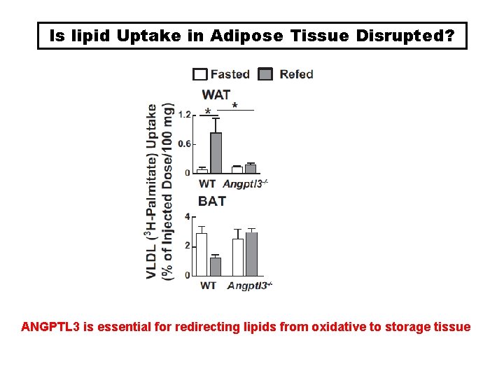 Is lipid Uptake in Adipose Tissue Disrupted? ANGPTL 3 is essential for redirecting lipids