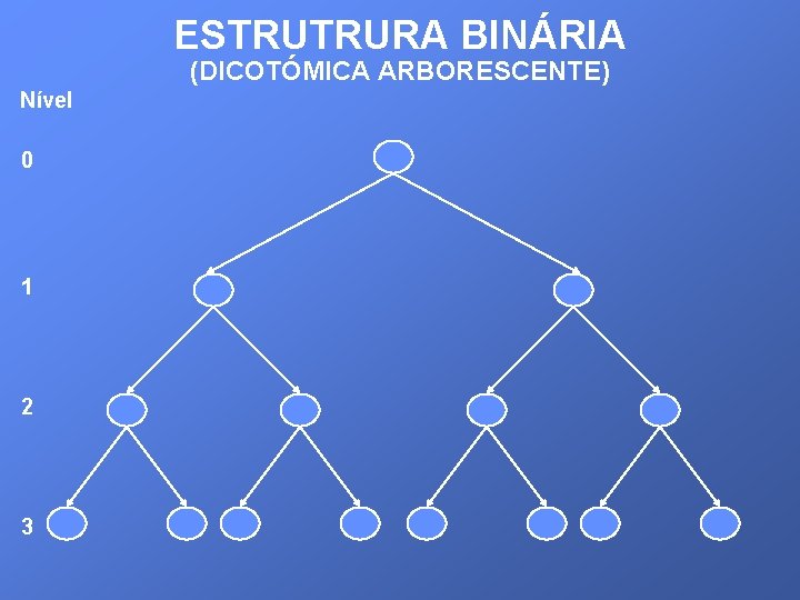 ESTRUTRURA BINÁRIA (DICOTÓMICA ARBORESCENTE) Nível 0 1 2 3 