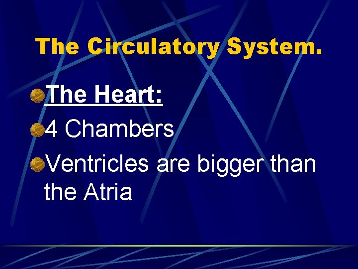 The Circulatory System. The Heart: 4 Chambers Ventricles are bigger than the Atria 
