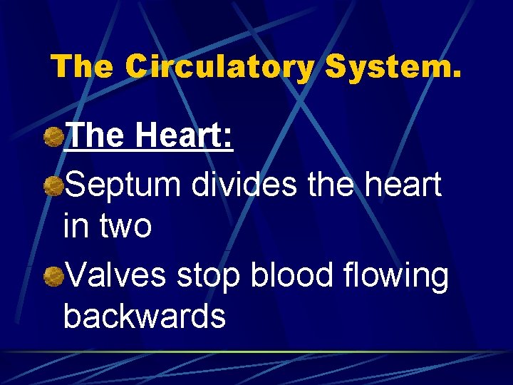 The Circulatory System. The Heart: Septum divides the heart in two Valves stop blood