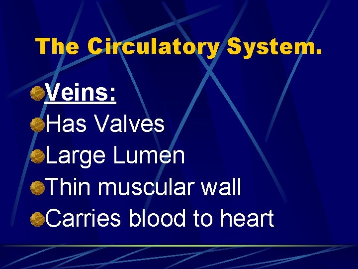 The Circulatory System. Veins: Has Valves Large Lumen Thin muscular wall Carries blood to