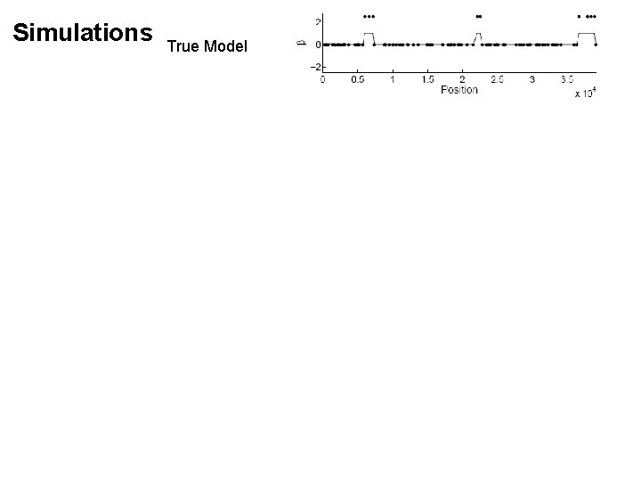 Simulations True Model Simulations True Model